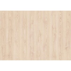Flores   (32.sinif  2.13 M2 ) Glori̇a Rgs