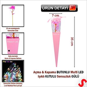 Kutulu Ve Led Işıklı Sonsuzluk Gülü, 35cm - Pembe