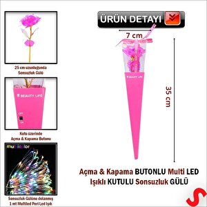 Kutulu Ve Led Işıklı Sonsuzluk Gülü, 35cm - Fuşya