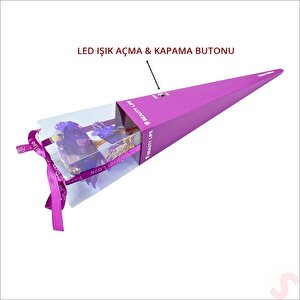 Kutulu Ve Led Işıklı Sonsuzluk Gülü, 35cm - Mor