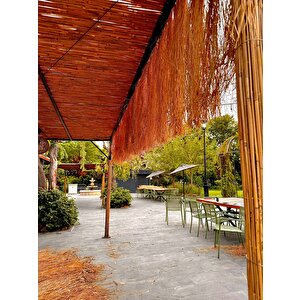 Hasır Püskül Otu Saçaklı Ot 1 Metre X 75 Cm