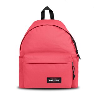 Sırt Çantası Padded Pak'r Cupcake Pink Ek0006207e81
