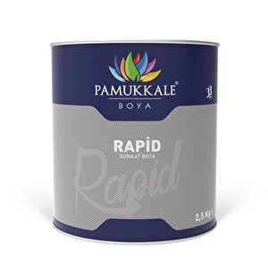 Pamukkale 1402 Rapid Endüstriyel Boya 2.5 Kg Makina Yeşili Ral 6021