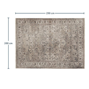 Terra Vintage Desenli Halı