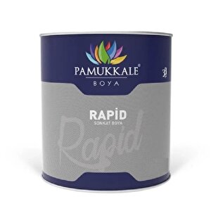 1402 Rapid Boya 5 Kg Turkuaz Ral 5018