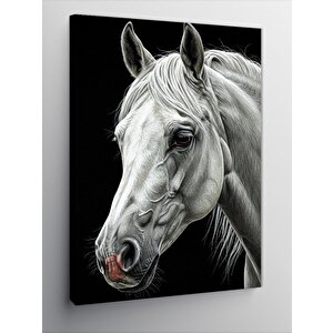 Kanvas Tablo Beyaz At Ve Zarif Portre 70x100 cm