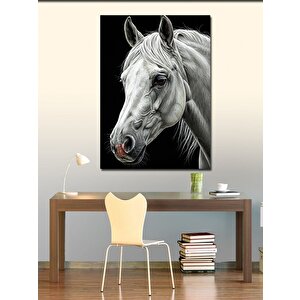 Kanvas Tablo Beyaz At Ve Zarif Portre 70x100 cm