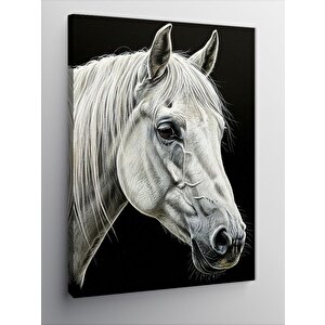 Kanvas Tablo Beyaz At Portresi 100x140 cm