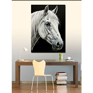 Kanvas Tablo Beyaz At Portresi 100x140 cm