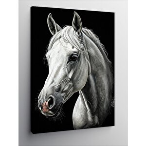 Kanvas Tablo Beyaz At Portresi 70x100 cm