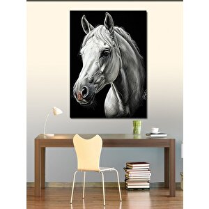 Kanvas Tablo Beyaz At Portresi 70x100 cm