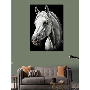 Kanvas Tablo Beyaz At Portresi 70x100 cm