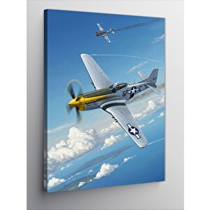 Kanvas Tablo Havadaki Tarihi Uçak 50x70 cm