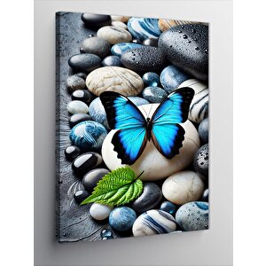 Kanvas Tablo Çakıltaşları Ve Mavi Kelebek 50x70 cm