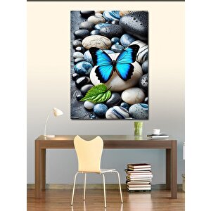 Kanvas Tablo Çakıltaşları Ve Mavi Kelebek 50x70 cm