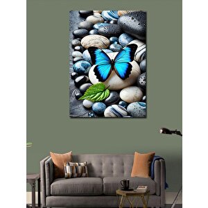 Kanvas Tablo Çakıltaşları Ve Mavi Kelebek 50x70 cm