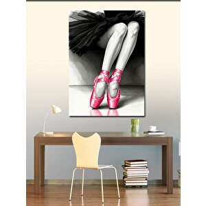 Kanvas Tablo Pembe Balerin Ayakkabıları 50x70 cm