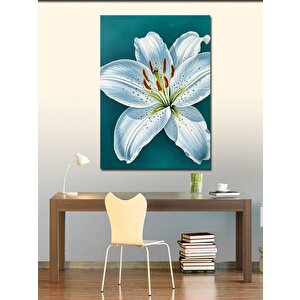 Kanvas Tablo Beyaz Zambak Çizimi 50x70 cm