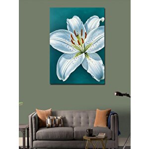 Kanvas Tablo Beyaz Zambak Çizimi 50x70 cm