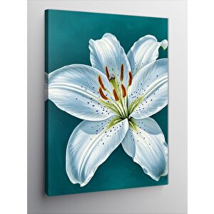 Kanvas Tablo Beyaz Zambak Çizimi 70x100 cm