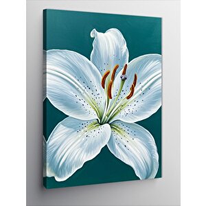Kanvas Tablo Beyaz Zambak Çiçeği 70x100 cm