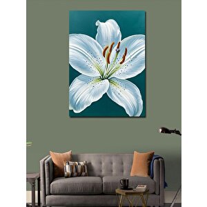 Kanvas Tablo Beyaz Zambak Çiçeği 70x100 cm