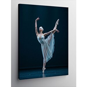 Kanvas Tablo Balerin Ve Elegans 70x100 cm