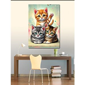 Kanvas Tablo Sevimli Yavru Kediler 50x70 cm