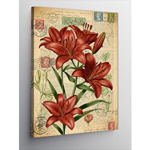 Kanvas Tablo Zambaklar Ve Antik Yazılar 50x70 cm