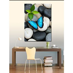 Kanvas Tablo Mavi Kelebek Ve Doğal Taşlar 70x100 cm