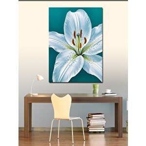 Kanvas Tablo Beyaz Zambak Çiçeği 70x100 cm