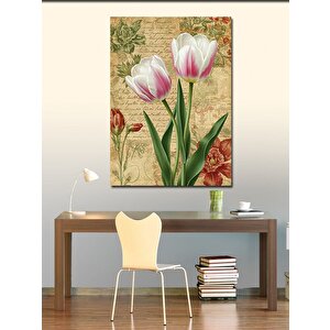 Kanvas Tablo Pembe Ve Beyaz Laleler 50x70 cm