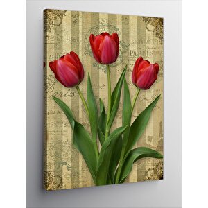 Kanvas Tablo Kırmızı Lale Ve Yeşillik 50x70 cm