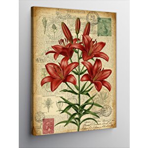 Kanvas Tablo Kırmızı Zambak Çiçeği 50x70 cm