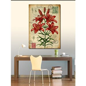 Kanvas Tablo Kırmızı Zambak Çiçeği 50x70 cm