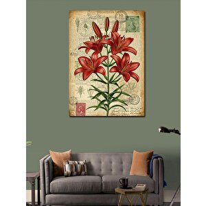 Kanvas Tablo Kırmızı Zambak Çiçeği 50x70 cm