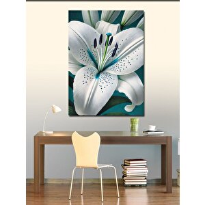 Kanvas Tablo Beyaz Zambak Çizimi 50x70 cm