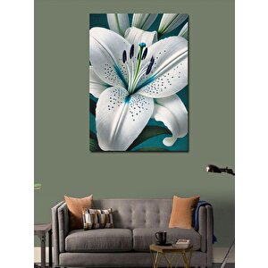 Kanvas Tablo Beyaz Zambak Çizimi 50x70 cm