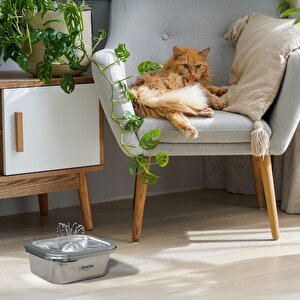 Akıllı Otomatik Çift Kaseli Kedi Mama Kabı, Akıllı Çelik Kedi Su Sebili ve Yedek Filtreler 3'lü Pet Ürünleri Seti Beyaz