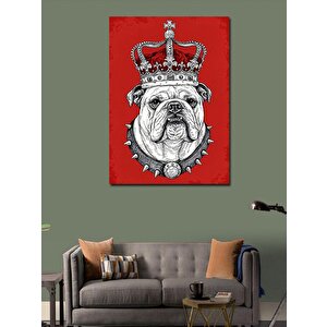 Kanvas Tablo Taç Takmış Bulldog 50x70 cm