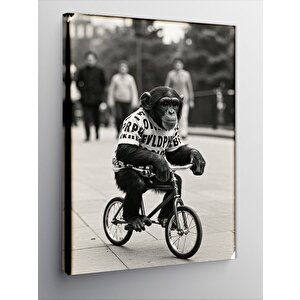 Kanvas Tablo Bisiklet Süren Maymun 70x100 cm