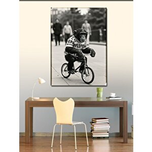 Kanvas Tablo Bisiklet Süren Maymun 70x100 cm