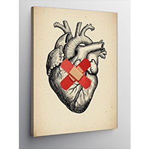Kanvas Tablo Kalp Ve Bandaj Çizimi 50x70 cm