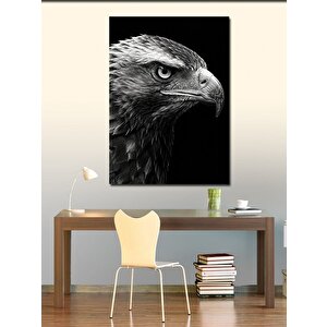 Kanvas Tablo Siyah Kartal Çizimi 50x70 cm