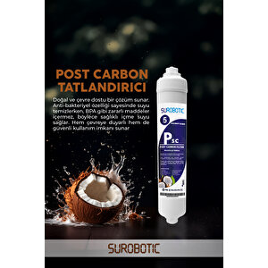 Su Arıtma Cihazları Için Tatlandırıcı Coconut Bazlı Post Carbon Filtre Quick