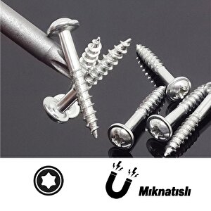 Bits Uç Mıknatıslı Torx T30 100 Mm 10'lu Set Kutulu Manyetik 1/4" Matkap Ucu Tork 10 Cm Uzunluk