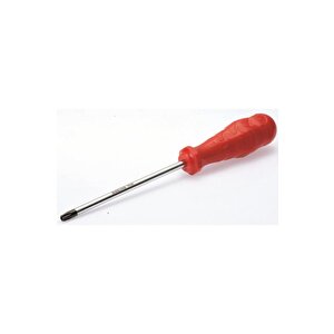 İzeltaş Delikli Torx Uçlu Tornavida Tr 25