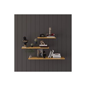 Modern Organizer Düzenleyici Dekoratif Kitaplık Banyo Mutfak 3'lü Duvarrafı Petra