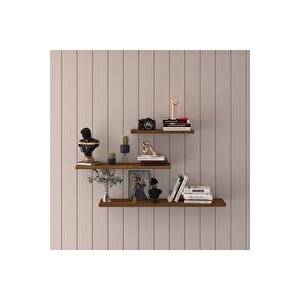 Modern Organizer Düzenleyici Dekoratif Kitaplık Banyo Mutfak 3'lü Duvarrafı Ceviz