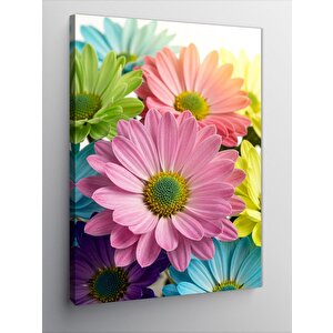 Kanvas Tablo Renkli Papatyalar Ve Bahar Hissi 70x100 cm
